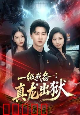 一级戒备:特工冤案揭秘